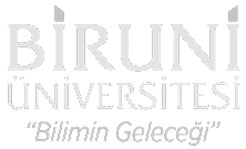 Biruni Üniversitesi
